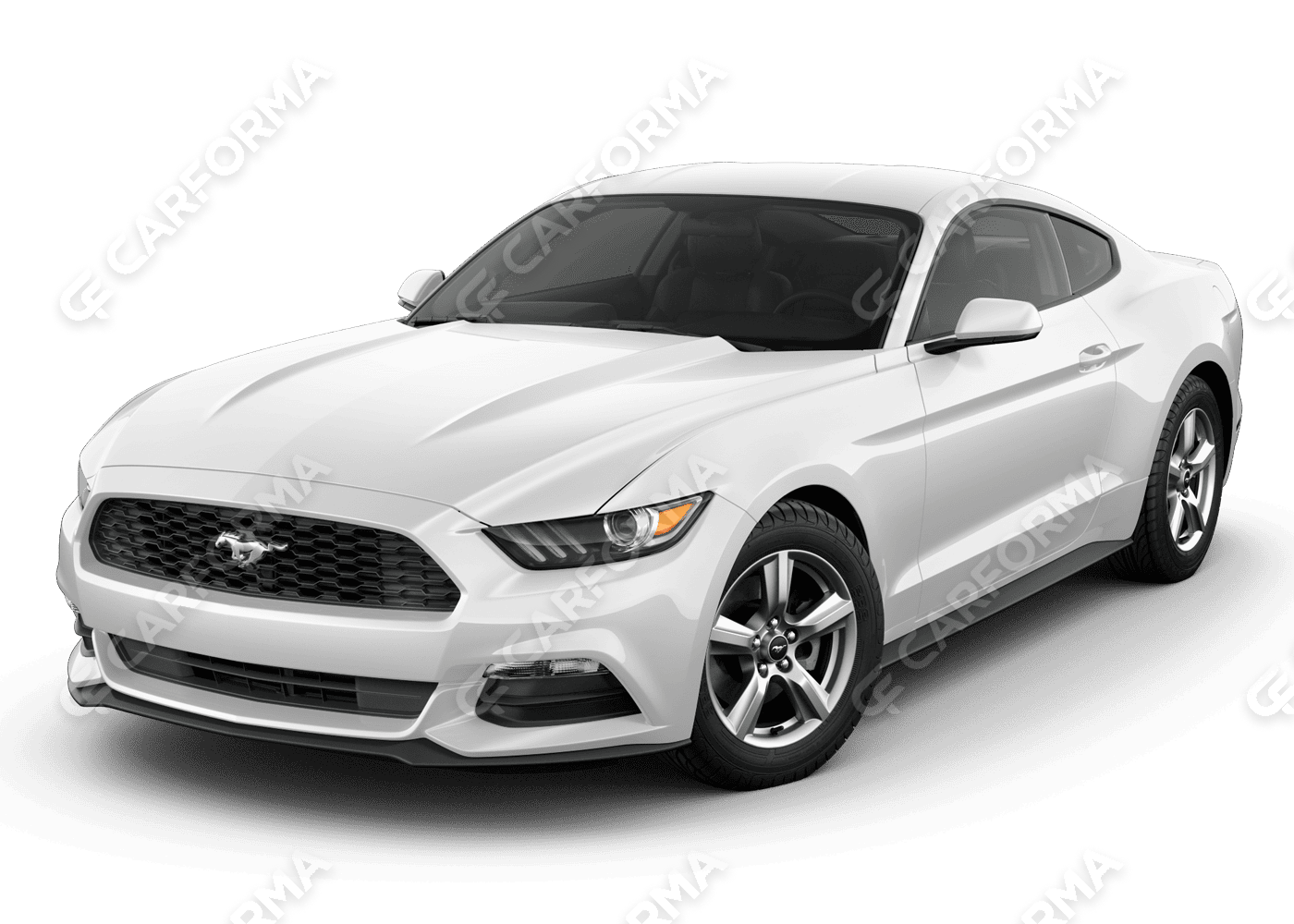 Ворсовые коврики на Ford Mustang VI 2013&nbsp;-&nbsp;2023