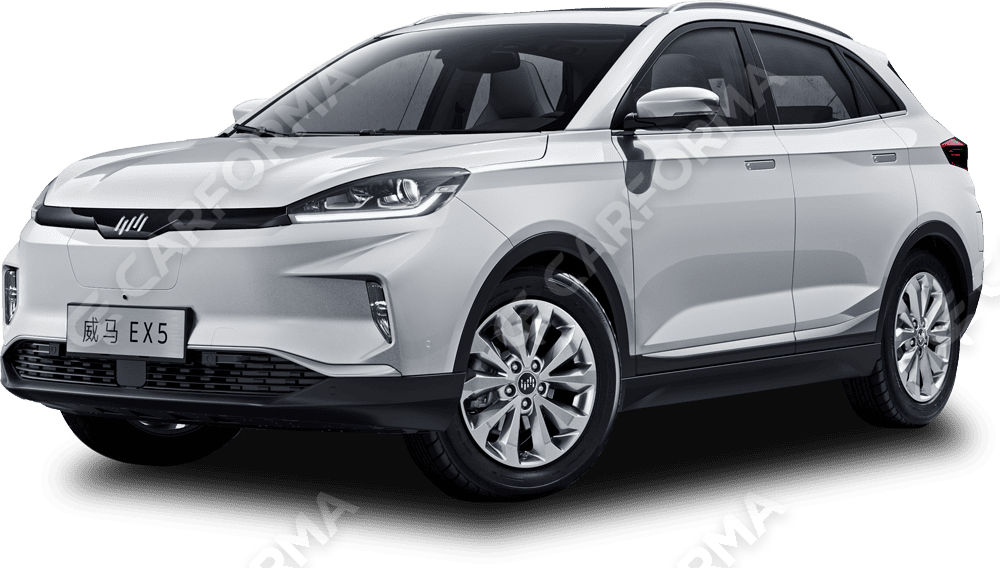 Ворсовые коврики на Weltmeister EX5 2018&nbsp;-&nbsp;2022 в Тамбове