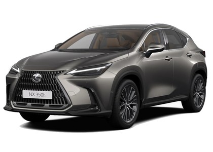EVA коврики на Lexus NX II 2021&nbsp;-&nbsp;2026 в Тамбове