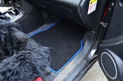 Ворсовые коврики на Lifan X60 2011&nbsp;-&nbsp;2022 в Тамбове