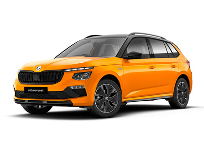 Коврики на Skoda Kamiq (Европа) 2019&nbsp;-&nbsp;2026 в Тамбове