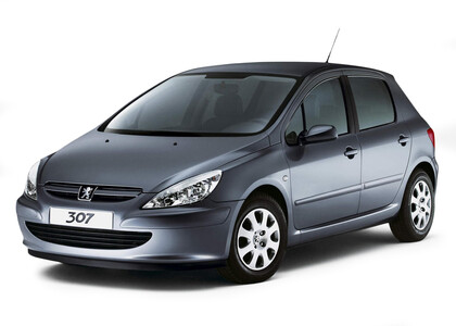 Ворсовые коврики на Peugeot 307 2001&nbsp;-&nbsp;2008 в Тамбове