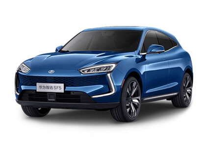 EVA коврики на Seres SF5 2019&nbsp;-&nbsp;2022 в Тамбове