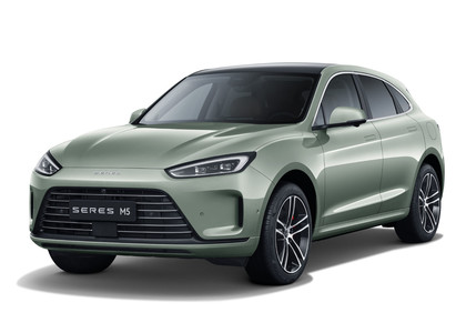 EVA коврики на Seres M5 2021&nbsp;-&nbsp;2026 в Тамбове