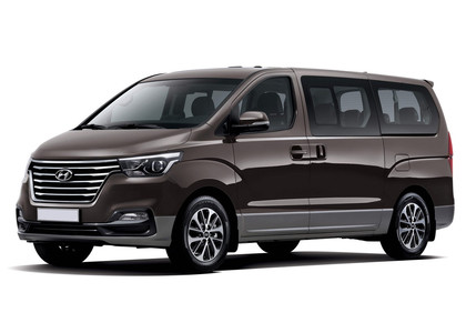 EVA коврики на Hyundai H1 II 2007&nbsp;-&nbsp;2022 в Тамбове