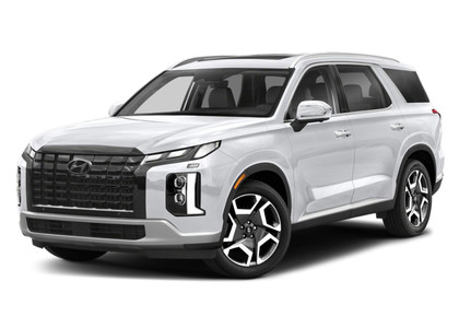 Ворсовые коврики на Hyundai Palisade 2018&nbsp;-&nbsp;2026 в Тамбове