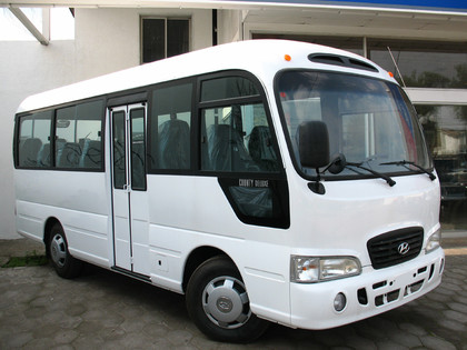 Ворсовые коврики на Hyundai County 2006&nbsp;-&nbsp;2016 в Тамбове