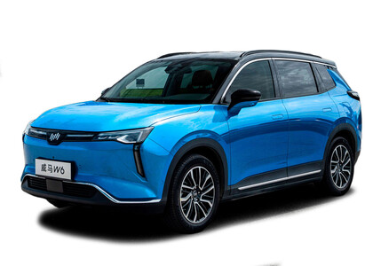 EVA коврики на Weltmeister W6 2021&nbsp;-&nbsp;2022 в Тамбове