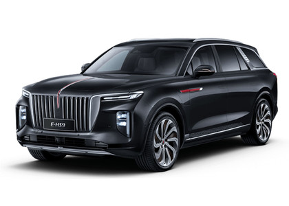 Ворсовые коврики на Hongqi E-HS9 2022&nbsp;-&nbsp;2026 в Тамбове