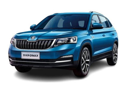 Ворсовые коврики на Skoda Kamiq (Китай) 2018&nbsp;-&nbsp;2026 в Тамбове