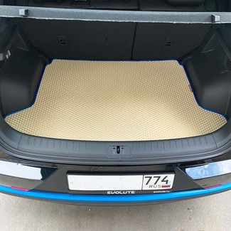 Ворсовые коврики на Evolute i-Joy 2022&nbsp;-&nbsp;2026 в Тамбове