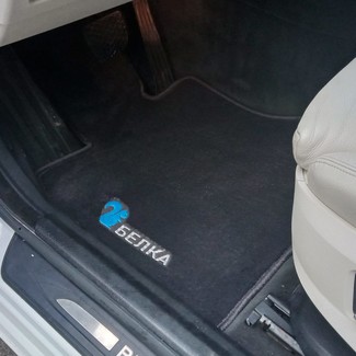 Ворсовые коврики на BMW 5 Gran Turismo (F07) 2009&nbsp;-&nbsp;2016 в Тамбове