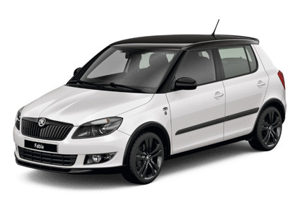 EVA коврики на Skoda Fabia II 2007&nbsp;-&nbsp;2015 в Тамбове