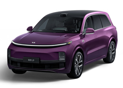 Ворсовые коврики на Li L9 2022&nbsp;-&nbsp;2026 в Тамбове