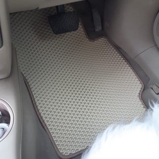 Ворсовые коврики на Mazda Demio II (DY) 2002&nbsp;-&nbsp;2007 в Тамбове