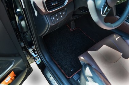 Ворсовые коврики на Hyundai Santa Fe IV 2018&nbsp;-&nbsp;2021 в Тамбове