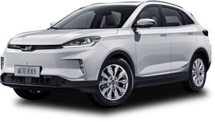 Ворсовые коврики на Weltmeister EX5 2018&nbsp;-&nbsp;2022 в Тамбове