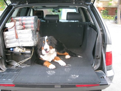 EVA коврики на BMW X5 (E53) 1999&nbsp;-&nbsp;2006 в Тамбове